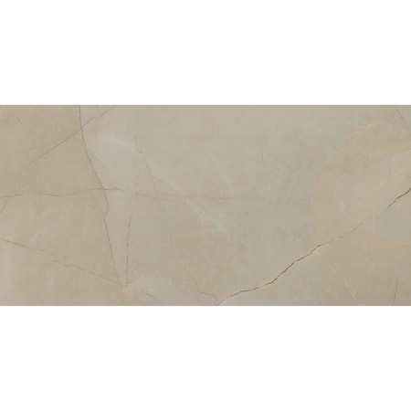 Ackland Sample Sonoma Sand Polished Porcelain Marble Look Floor and Wall Tile AKNPTSONSAND24X48P-SM